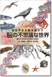 cover_brain