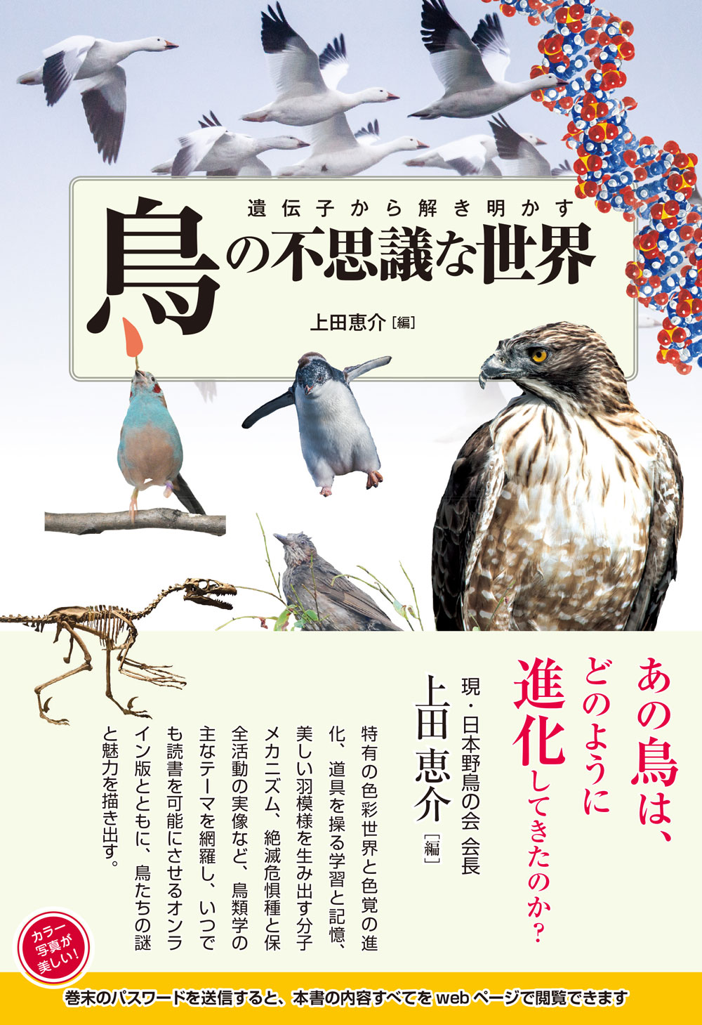 cover_tori