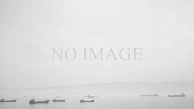 ヒトゲノム事典 | 井ノ上逸朗, 今西規, 河村正二, 斎藤成也