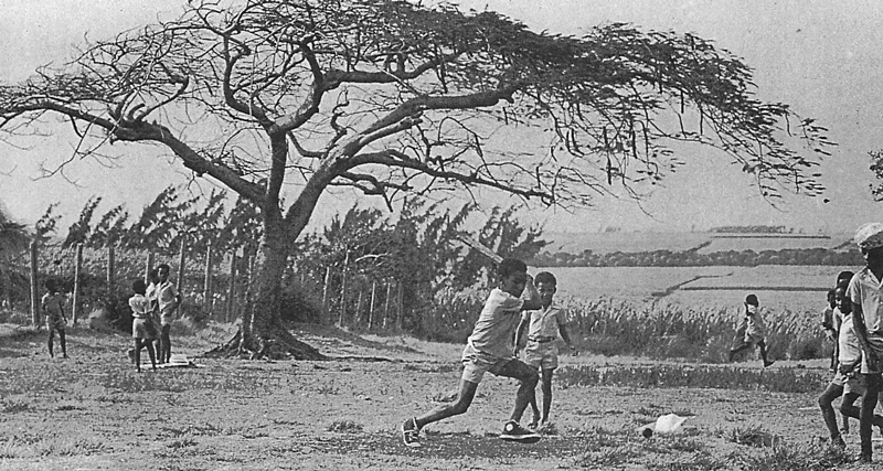 図２．バルバドス島の空き地でクリケットをして遊ぶ少年たち Goodwin, Clayton, Caribbean Cricketers from the Pioneers to packer, Harrap, 1980, pp.68-69
