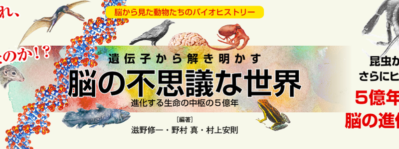 一色出版 生物進化から世界史までを本とwebで Part 10
