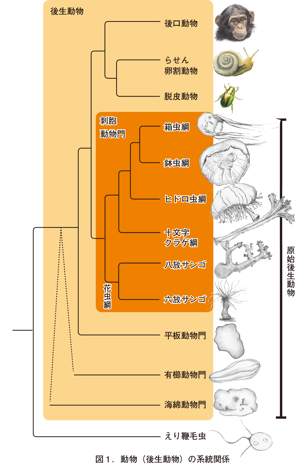 脳の不思議な世界 オンライン版プレゼント 一色出版