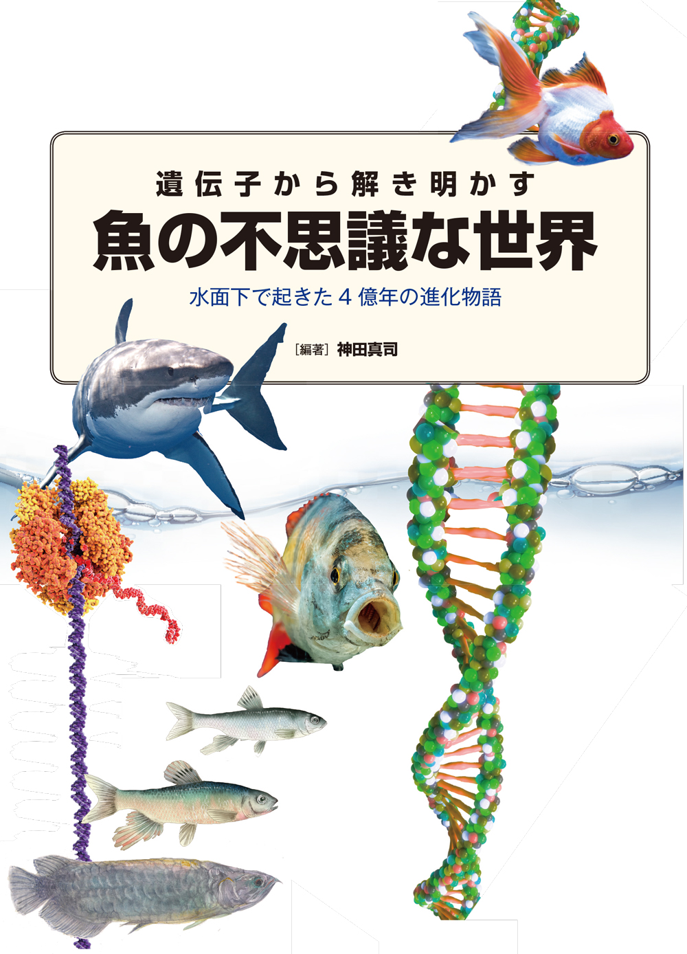 遺伝子から解き明かす 魚 の不思議な世界 一色出版
