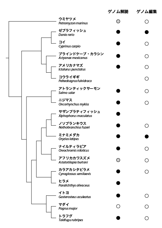 第5章 ゲノム編集技術による魚類研究の新展開 一色出版