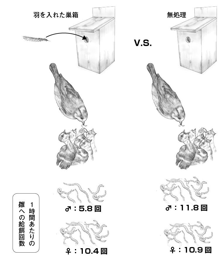 Amazon.co.jp: 今昔物語集の形成と構造 (笠間叢書) : 小峯和明: 本