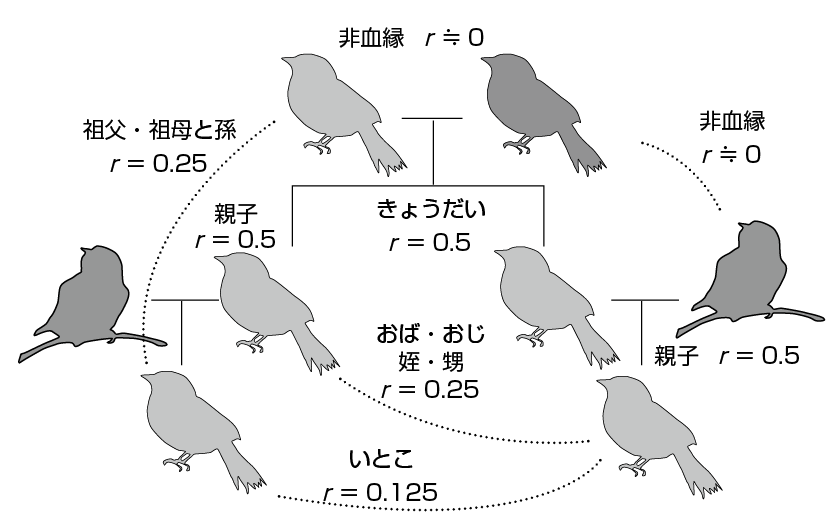Amazon.co.jp: 今昔物語集の形成と構造 (笠間叢書) : 小峯和明: 本