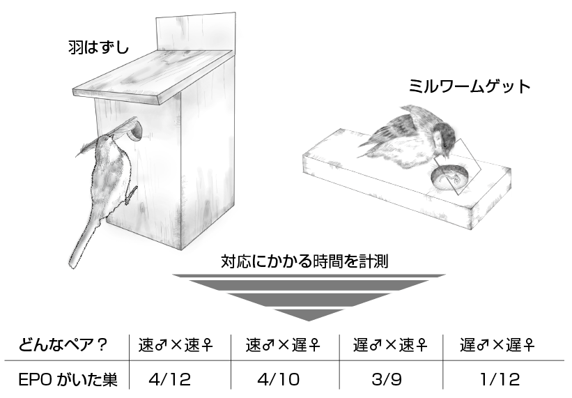 まずはこの一冊から 意味がわかる線形代数 - いつも、学ぶ人の