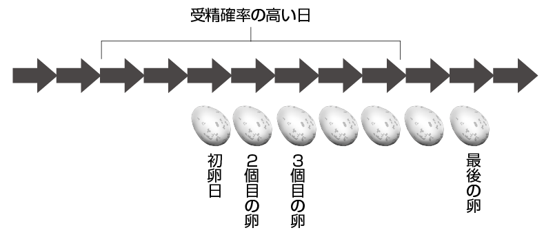 第5章 EPC今昔物語 | 一色出版