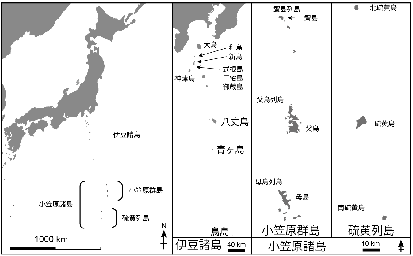 第8章 DNAからみえてきた伊豆・ 小笠原諸島の鳥の起源 | 一色出版
