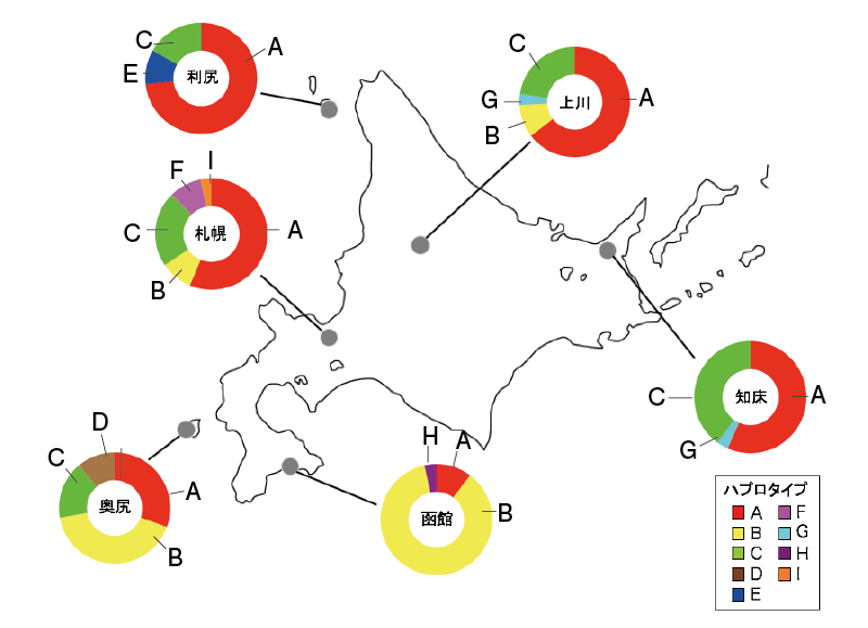 ハプロタイプ地図