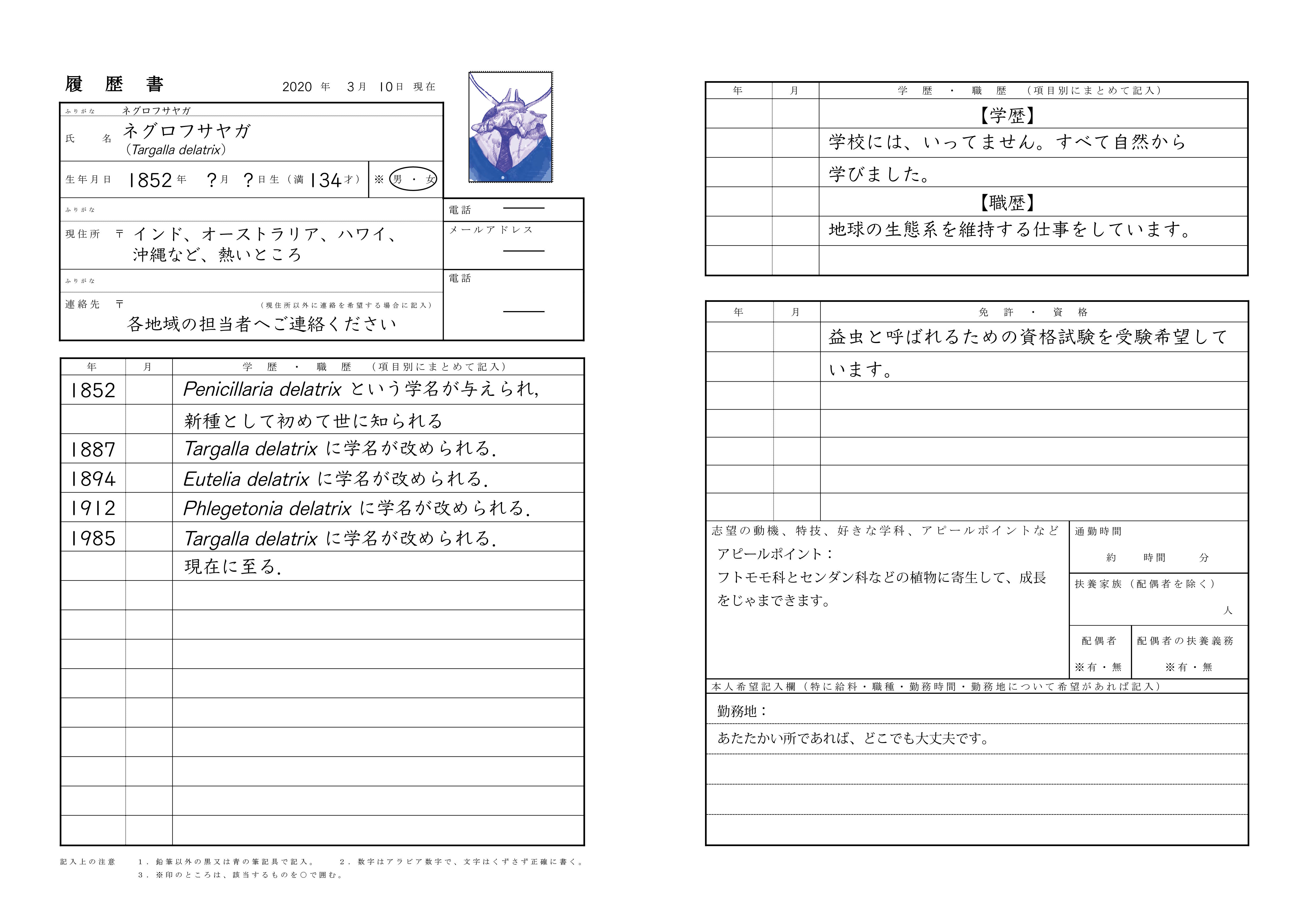 昆虫の新種ってどうやって見つけるの？　種類は数はどうして増えるの？