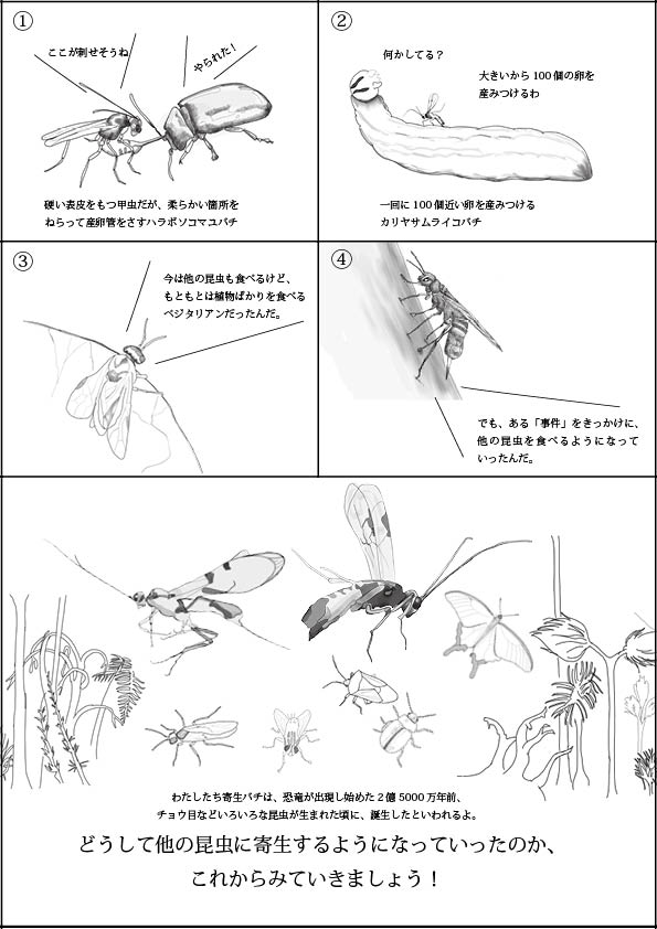 寄生バチ 寄生蜂 はなぜ 寄生するようになったのか 一色出版